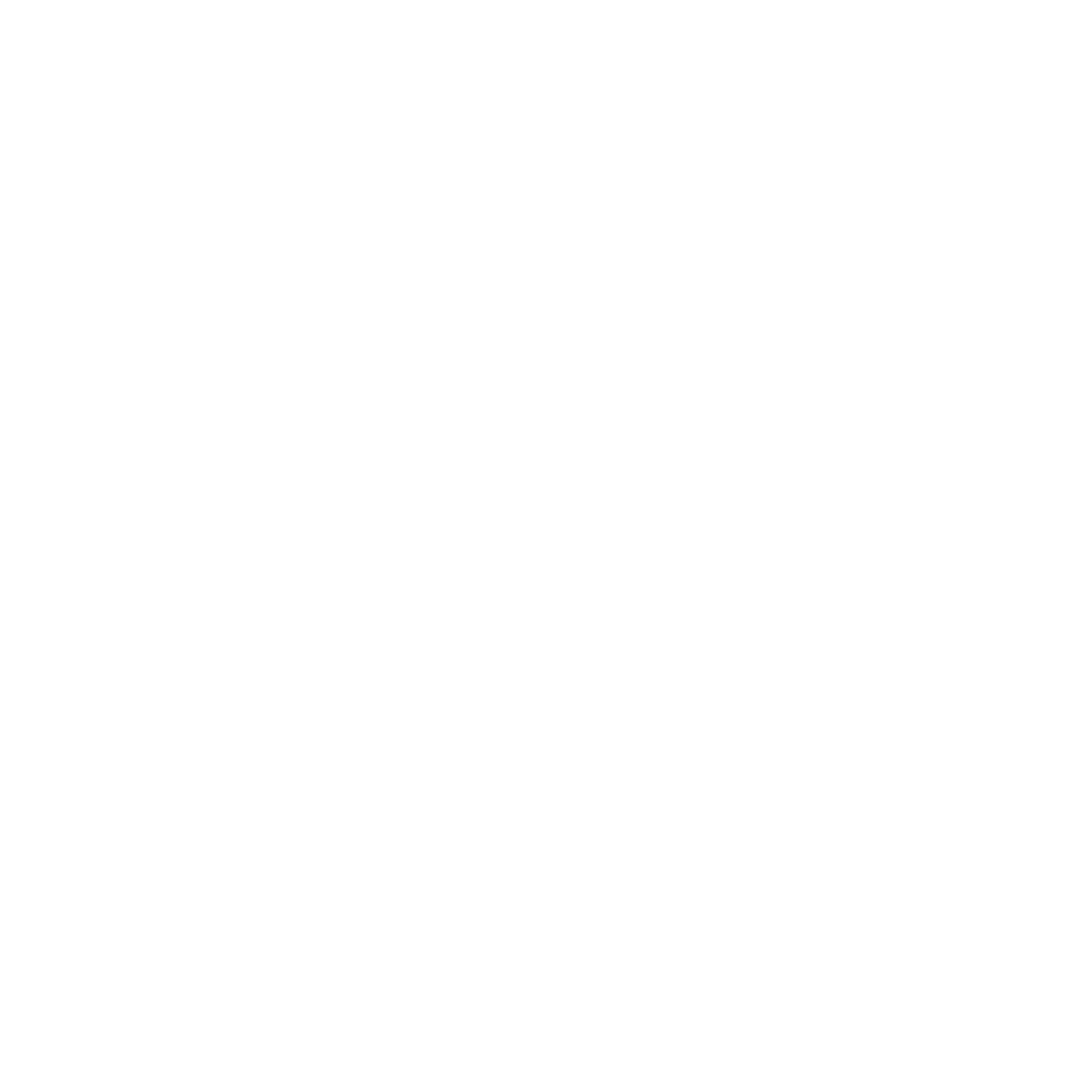 Csa Logo White